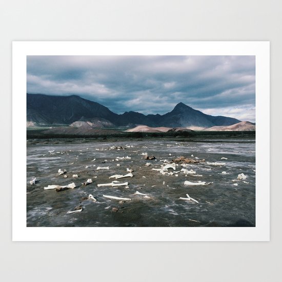 Bone Flats Art Print