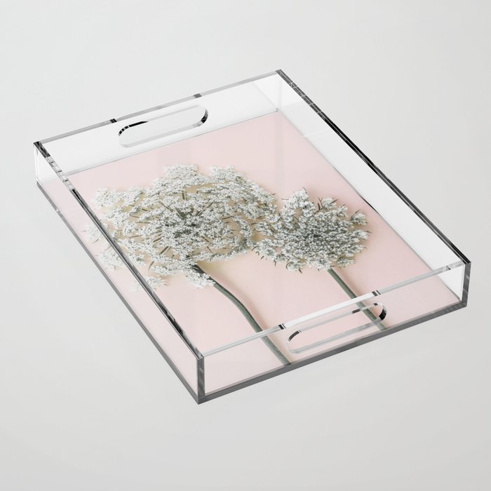 Queen Anne's Lace No. 16 Blush Pink Botanical Photography Acrylic Tray