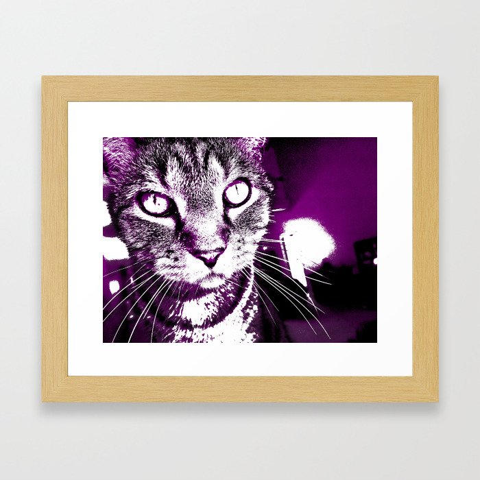 Purple Fierce Kitty Framed Art Print