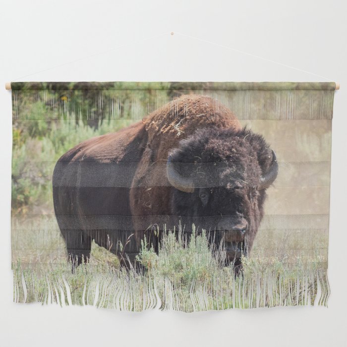 Buffalo Wildlife Photography Yellowstone National Park Wyoming Print Wall Hanging
