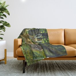 Whitetail Deer and Cute Spring Fawn Throw Blanket