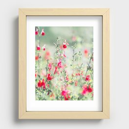Flowering Autumn Sage Recessed Framed Print