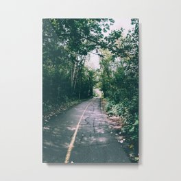 River Valley Path Metal Print | Bikepath, Trees, Trail, Alberta, Edmonton, Photo, Spring, Summer, Foliage, Digital 