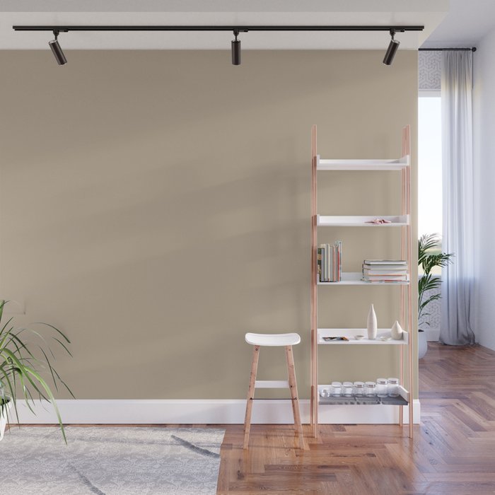 Sand Dust Tan Solid Color Pairs To PPG Best Beige PPG1085-4 All One Shade Hue Wall Mural