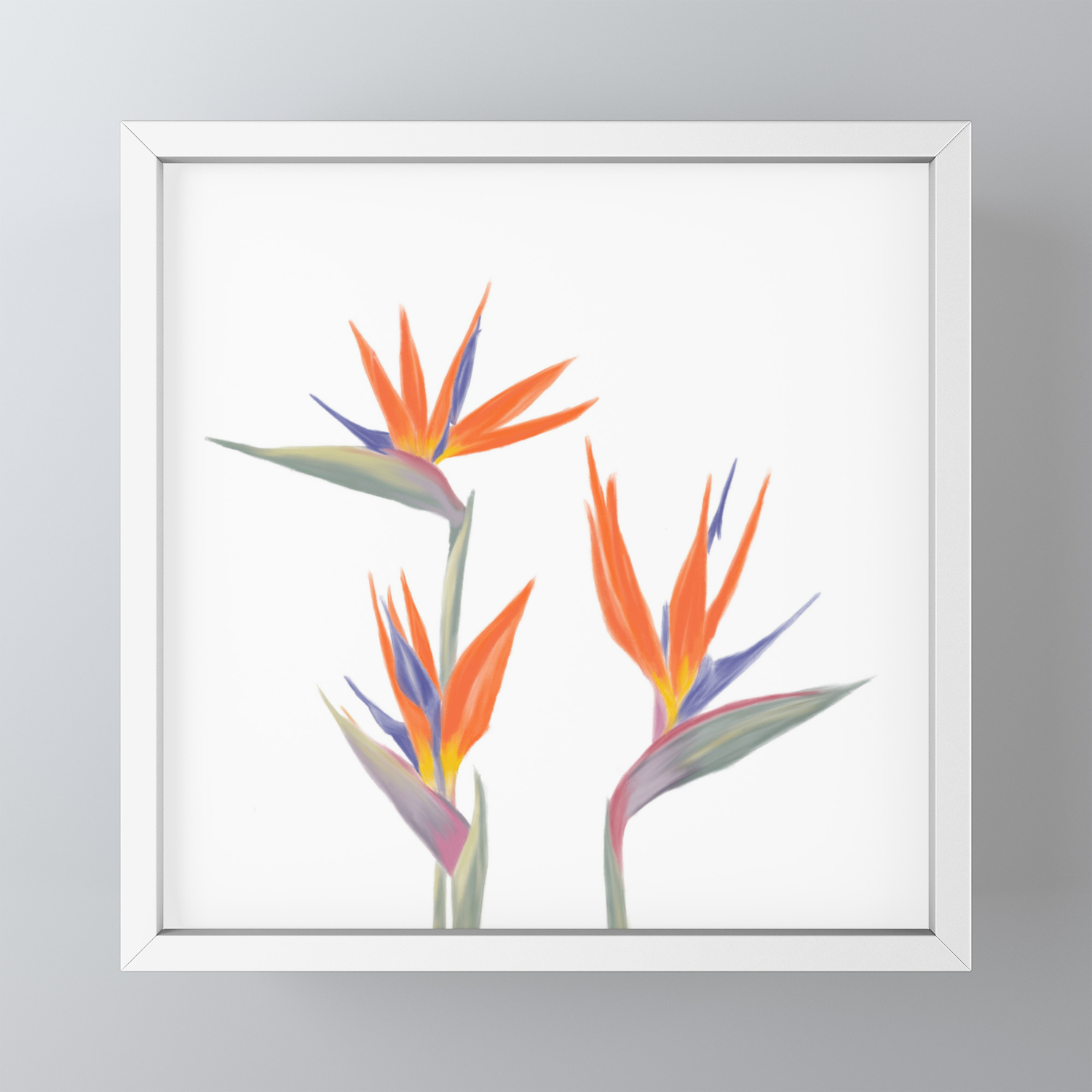 Bird Of Paradise Framed Mini Art Print By Cndahl Society6 Bird Of Paradise Framed Mini Art Print