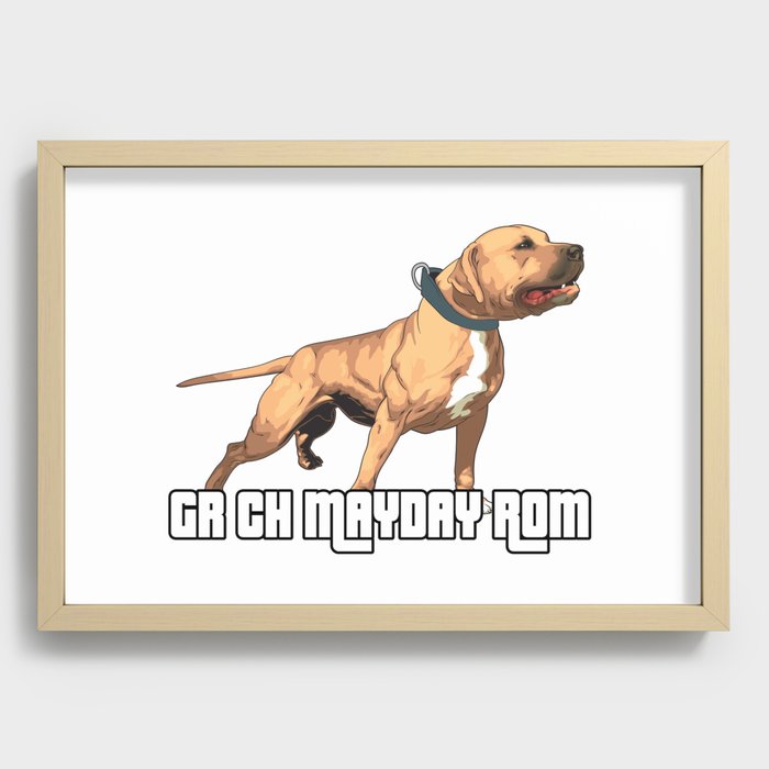 Grand champion hot sale mayday pitbull