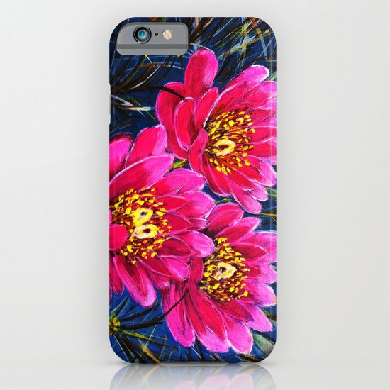 Cactus flowers ( Close up) iPhone & iPod Case
