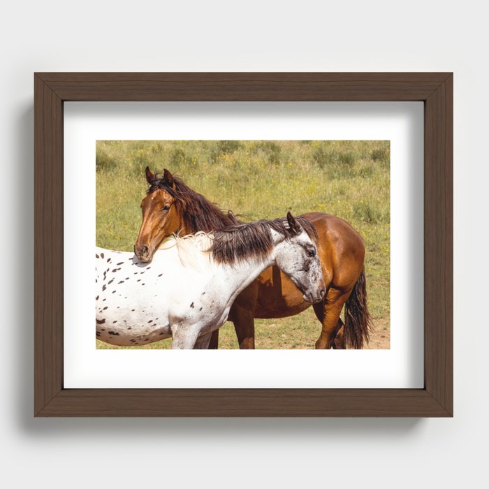 Horses Recessed Framed Print
