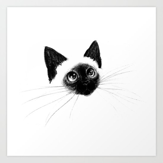 Curious Siamese Kitten Art Print