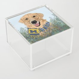 Michigan Golden Acrylic Box