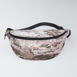 Cherry Blossoms at Trinity Bellwoods Park on April 21st, 2021. IV Fanny Pack