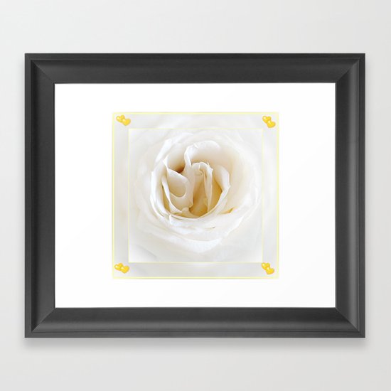 Snow white rose Framed Art Print