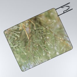 Nature's Beauty - Closeup photograph of a green pine tree - Travel & Botanical Photography Picnic Blanket