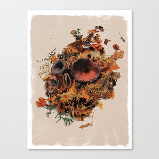 Wither Canvas Print