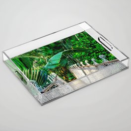 Brazil Photography - Tropical Hanging Bridge In The Rain Forest Acrylic Tray