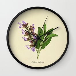 Vintage botanical print - Clary Sage Wall Clock