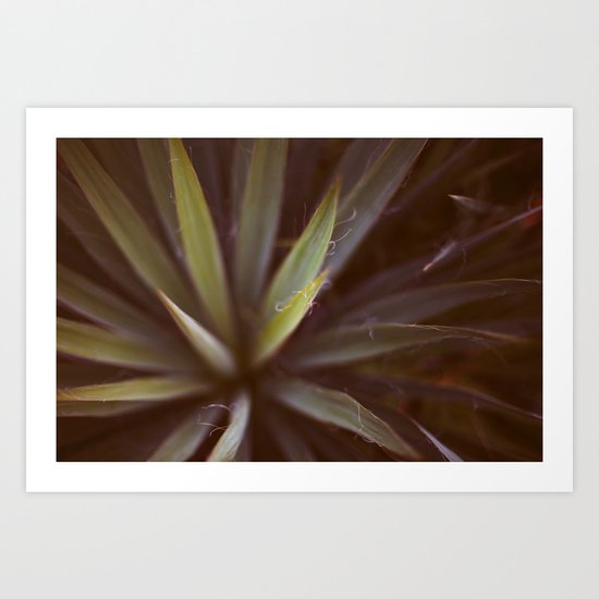 Yucca #1 Art Print
