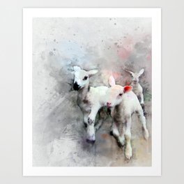 Three pet lambs watercolor Art Print