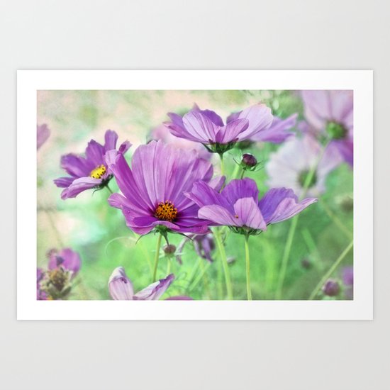 Among the Cosmos Art Print