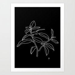 Branch (White and Black)  Art Print