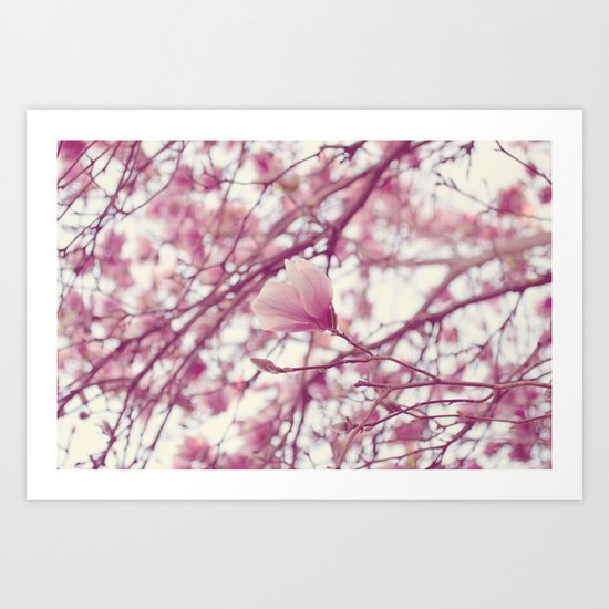 under the magnolia tree Art Print