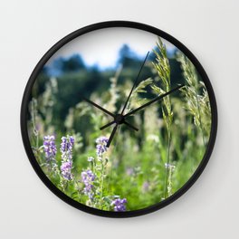 Boulder Spring Wall Clock