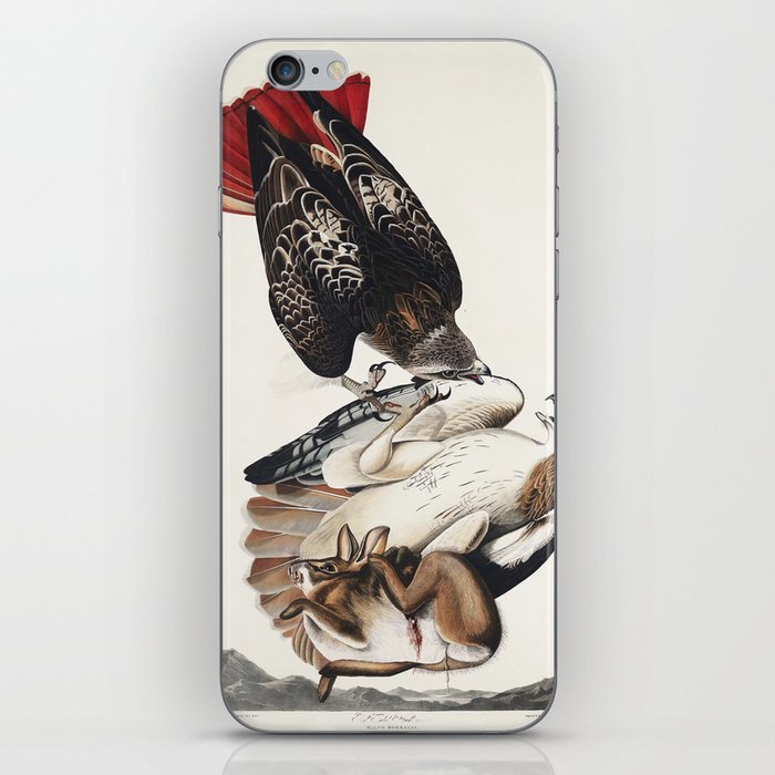 Red-tailed Hawk from Birds of America (1827) by John James Audubon iPhone Skin