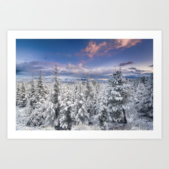 "Mountain light". Snowy forest at sunset Art Print