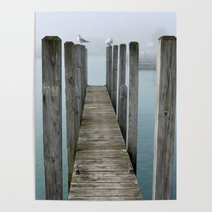 Gulls on Dock Poster