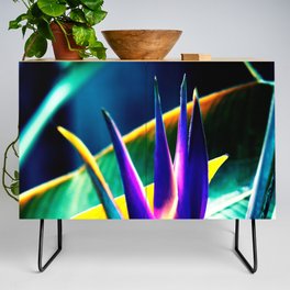 Colorful Helicon Flower Infrared Violet Photography Credenza