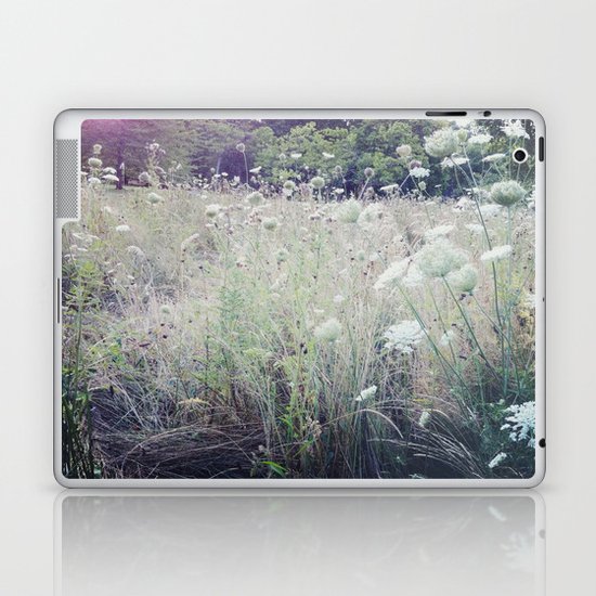 St. James Park Laptop & iPad Skin