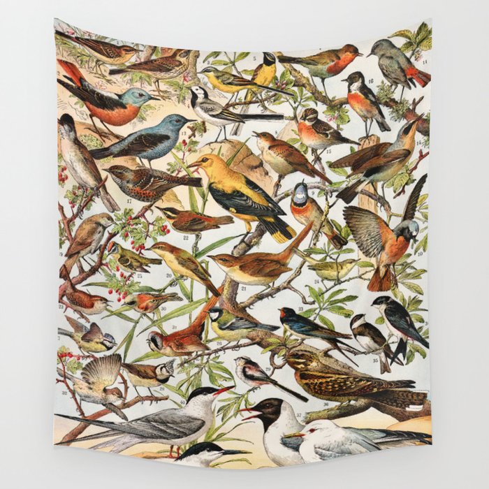 Adolphe Millot - Oiseaux espèces utiles 01 - French vintage ornithology poster Wall Tapestry