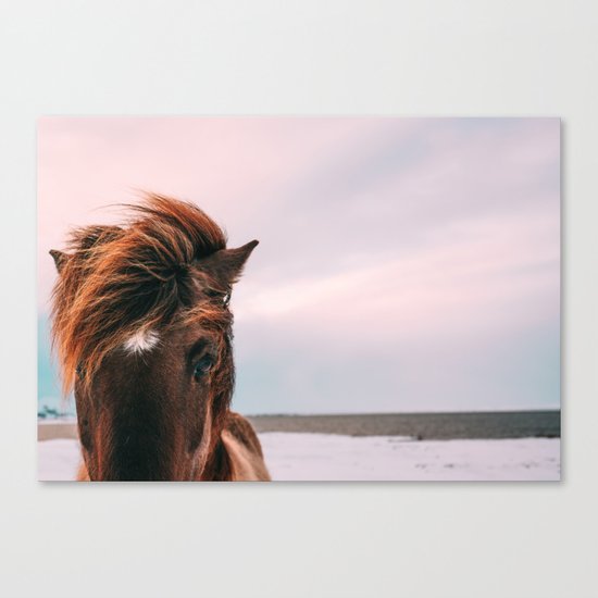 Horse #sunset Canvas Print