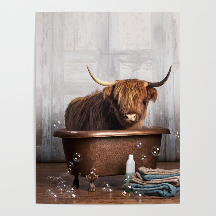 Highland Cow in the Tub Poster