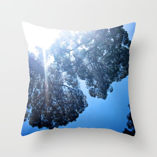 Wiser than I Throw Pillow