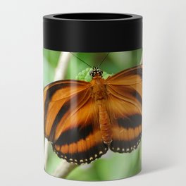Brazil Photography - The Dryadula Phaetusa Butterfly Can Cooler