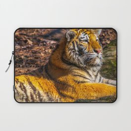 Tiger Wild Cat Wildlife Nature Tigers Print Laptop Sleeve