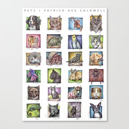 Pet Compilation Canvas Print