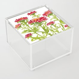 Ruby Red Aster Flowers Acrylic Box