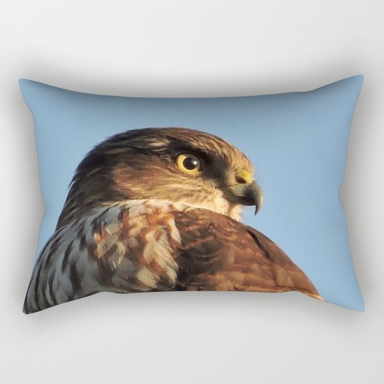 Young Cooper's Hawk Rectangular Pillow