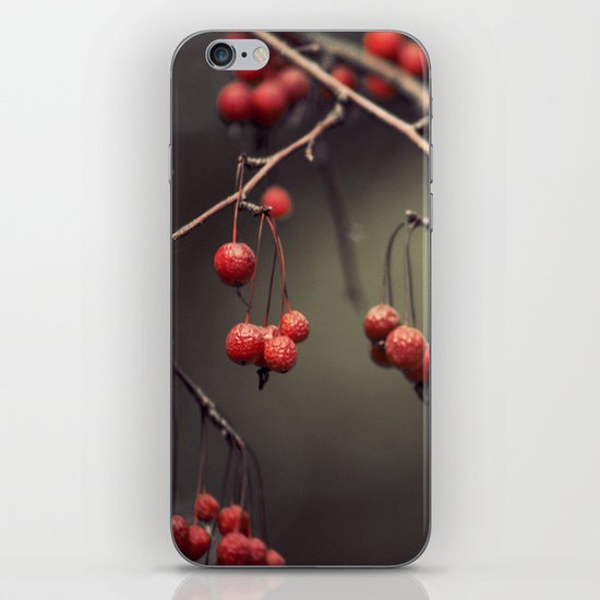 almost winter iPhone & iPod Skin