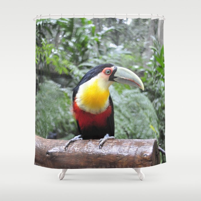Brazil Photography - Colorful Toucan Sitting On A Branch In The Jungle Shower Curtain