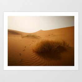 Dusk Desert Art Print