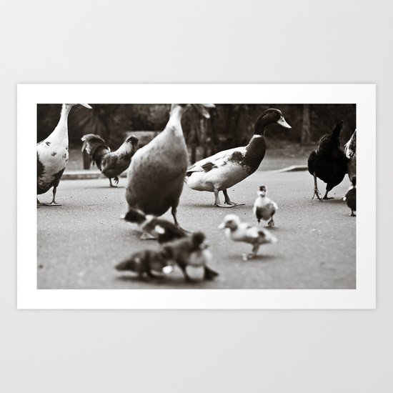 Quack Art Print