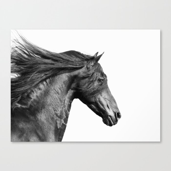 Speed - Black and White Nature Photography Canvas Print