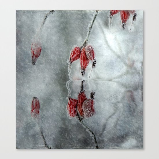 Purple cloak in winter Canvas Print