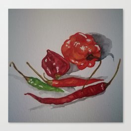 Chilies in different colors Canvas Print