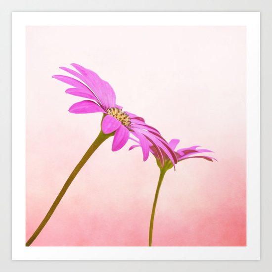 Pretty in Pink Art Print