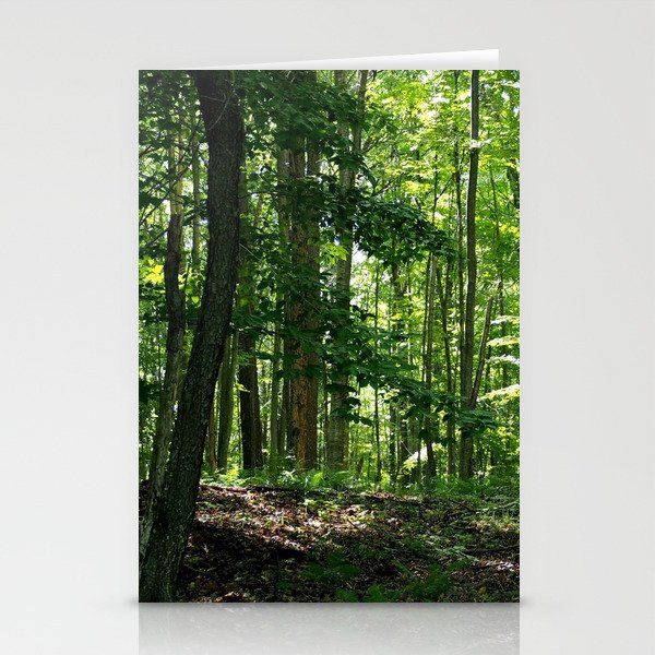 Pine tree woods Stationery Cards