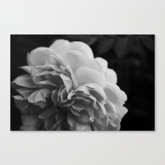Wildeve Rose No. 2 - Black & White Canvas Print